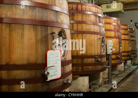 Weinkeller für die Verarbeitung der Winzerfest auf einem französischen Immobilien Stockfoto