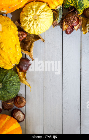 Kürbis, Blätter und Kastanien auf Holzboden als Herbst frame Stockfoto