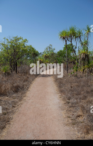 Unversiegelte Corrugated Straße im Northern Territory, Australien Stockfoto