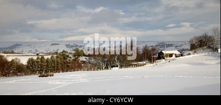 Blick nach Norden über Kleinbetrieb. Heftige Schneefälle in Nidderdale, North Yorkshire. Stockfoto