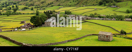 Panorama Stein Scheunen, Blumenwiesen, Muker Dorf, Swaledale; Yorkshire Dales National Park, England, Vereinigtes Königreich Stockfoto