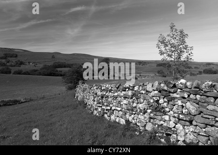 Schwarz / weiß Bild Panoramablick über Blumen Wiese, Raydale, Yorkshire Dales National Park, England, Vereinigtes Königreich Stockfoto