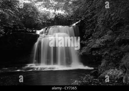 Schwarz-weiß -Bild Panorama Cotter Force Wasserfall, Fluß Ure, Wensleydale; Yorkshire Dales National Park, England Stockfoto