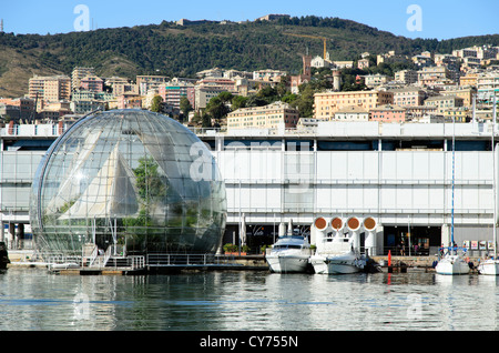Biosphäre im Porto Antico (Alter Hafen) - Genua, Italien Stockfoto
