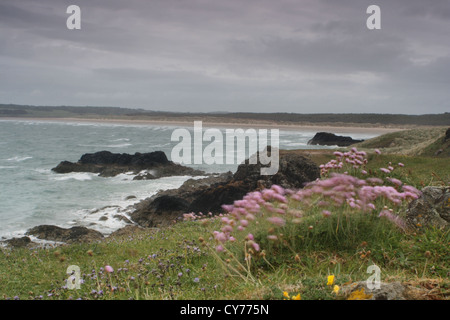 Penrhos Strand, Newborough Warren von Llanddwyn Insel Anglesey Stockfoto