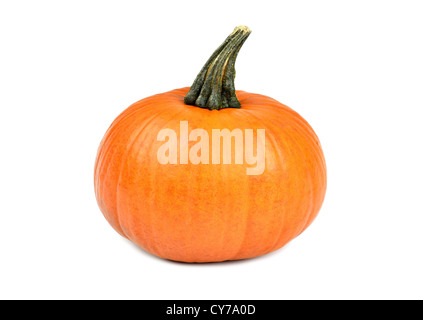 Schöne Orange Kürbis auf weißem Hintergrund Stockfoto