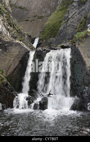 Spekes Mühle Mund Wasserfall in der Nähe von Hartland Quay North Devon Stockfoto