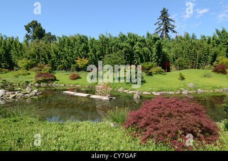 Dragon Valley Japanisch Zen Wassergarten mit See oder Pool Bambouseraie de Prafrance Anduze Gard Frankreich Stockfoto