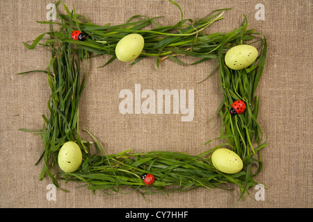 Grass-Frame mit Eiern und Marienkäfer auf Leinwand Hintergrund Stockfoto