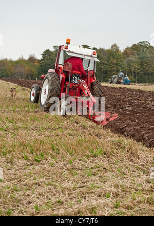 Jahrgang rot McCormick International Traktor Stockfoto