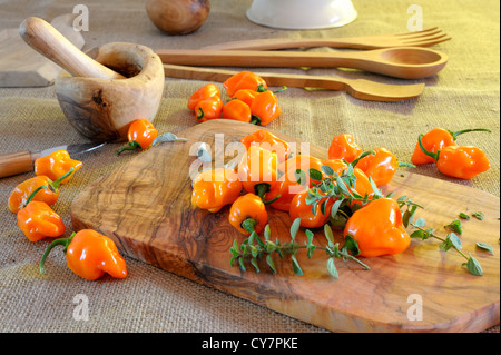 Schöne und farbige Chilischoten auf Holzsockel Stockfoto