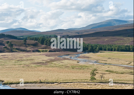 Dee Fluss im oberen Tal in der Nähe von Braemar, Grampian Mountains, Schottland Stockfoto