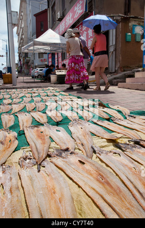 Fische trocknen auf dem Bürgersteig in der Mittagssonne, Qingdao, China Stockfoto