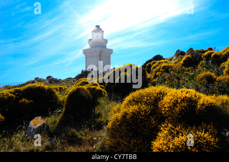 Leuchtturm in Sardinien Sommer Stockfoto