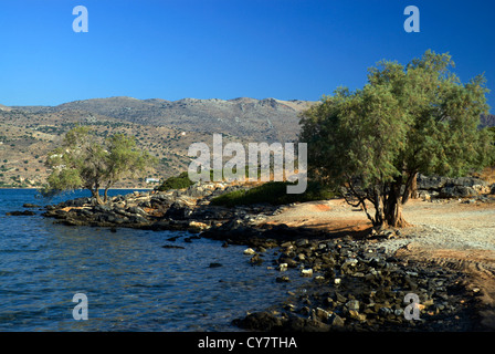 die Kolokytha Halbinsel Elounda Agios Nikolaos Kreta Griechenland Stockfoto