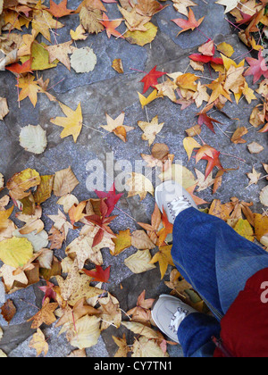Luftaufnahme der Frauenbeine mit Jeans und Füße mit Schuhen, lässt ein Spaziergang durch gelbe und rote Herbst auf dem Boden liegend Stockfoto