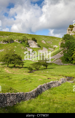 Blick über Trollerdale aus dem Weg zu Steuerungen Gill in der Nähe von Appletreewick in North Yorkshire. Stockfoto