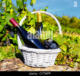 weiß- und Rotwein in einem Korb mit Trauben Stockfoto