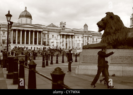 Ein Blick am Trafalgar Square in London, einschließlich eines Löwen und der National Gallery. Stockfoto