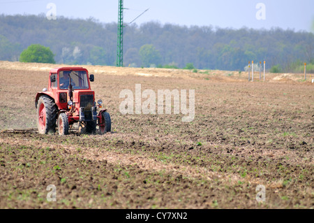 Roter Traktor auf einem Feld im zeitigen Frühjahr, die Vorbereitung der Flächen für die neue Ernte Stockfoto