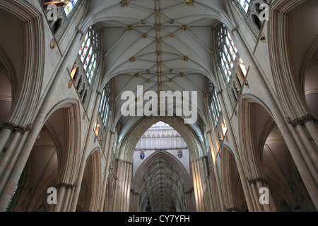 York Minster, York, North Yorkshire, Yorkshire, England, UK Stockfoto