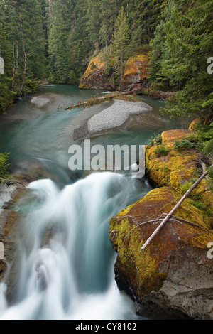 Flusses Ohanapecosh, Mount Rainier Nationalpark, Washington, USA Stockfoto