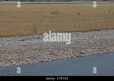 Debang Flussbett, Arunachal Pradesh, Indien Stockfoto