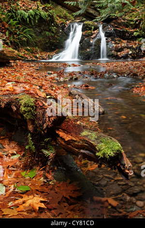 Cascade Creek fließt über rustikal fällt, Moran State Park, Orcas Island, San Juan County, Washington, USA Stockfoto