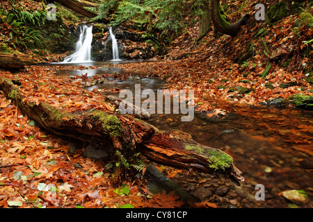 Cascade Creek fließt über rustikal fällt, Moran State Park, Orcas Island, San Juan County, Washington, USA Stockfoto