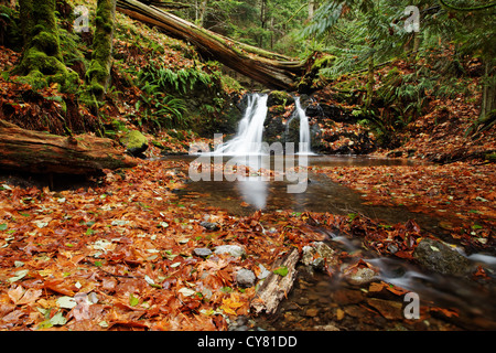 Cascade Creek fließt über rustikal fällt, Moran State Park, Orcas Island, San Juan County, Washington, USA Stockfoto