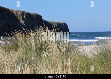 Malerischen Seenlandschaft und Strand, Okia Reserve, Otago Peninsula, Südinsel, Neuseeland Stockfoto