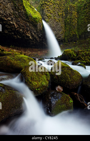 Schachtelhalm Bach stürzt über Pferdeschwanz fällt und Moos bedeckt Felsbrocken, Columbia River Gorge National Scenic Area, Oregon, USA Stockfoto