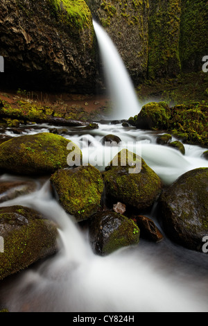 Schachtelhalm Bach stürzt über Pferdeschwanz fällt und Moos bedeckt Felsbrocken, Columbia River Gorge National Scenic Area, Oregon, USA Stockfoto