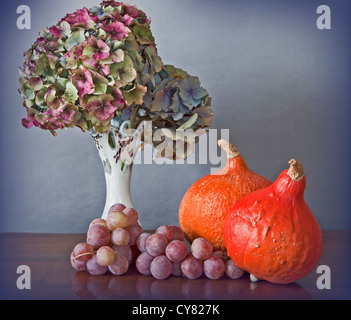Saisonale Zusammensetzung, Still Innenlebens. Vase mit trockenen Blumen Hortensie, Trauben und rot orange Kürbisse Stockfoto