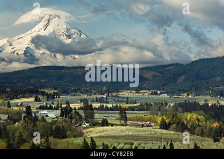Blühender Obstgarten unter Mount Hood, Hood River, Oregon, USA Stockfoto