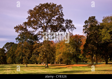 Schöne Herbst-Landschaft bei Camperdown Country Park in Dundee, Großbritannien Stockfoto