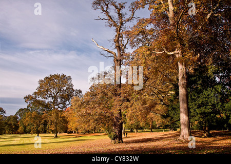 Die Menschen Sie genießen Sie einen Spaziergang und Golfspielen in der Herbst-Sonne in Camperdown Country Park in Dundee, Großbritannien Stockfoto