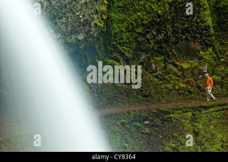 Mann zu Fuß auf Spur hinter Pferdeschwanz fällt und Moos bedeckt Felsbrocken, Columbia River Gorge National Scenic Area, Oregon, USA Stockfoto