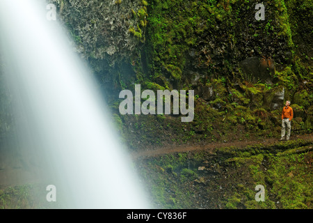 Mann auf Spur hinter Pferdeschwanz fällt und Moos bedeckt Felsbrocken, Columbia River Gorge National Scenic Area, Oregon, USA Stockfoto