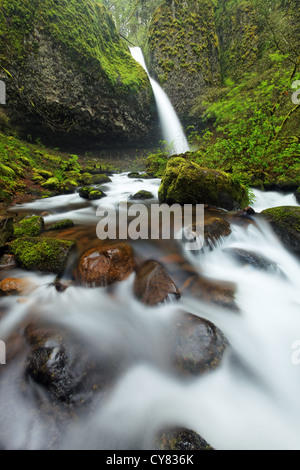 Schachtelhalm Bach stürzt über Pferdeschwanz fällt und Moos bedeckt Felsbrocken, Columbia River Gorge National Scenic Area, Oregon, USA Stockfoto