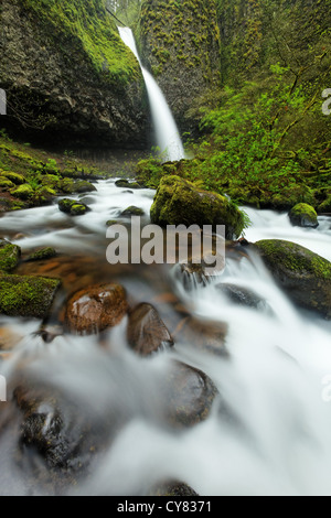 Schachtelhalm Bach stürzt über Pferdeschwanz fällt und Moos bedeckt Felsbrocken, Columbia River Gorge National Scenic Area, Oregon, USA Stockfoto