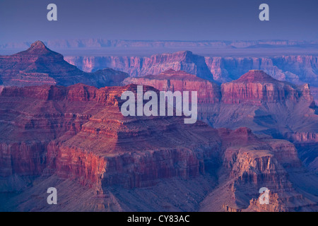 Abendlicht über den Grand Canyon vom South Rim, Grand Canyon Nationalpark in Arizona Stockfoto