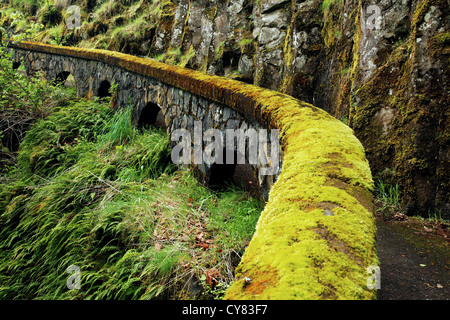 Gewölbten Stein Wand bedeckt in Moos entlang des Shepperd Dell, Columbia River Gorge National Scenic Area, Oregon, USA Stockfoto