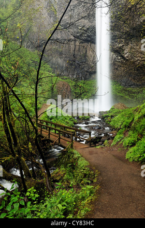 Latourell Wasserfälle und Steg, Columbia River Gorge National Scenic Area, Oregon, USA Stockfoto