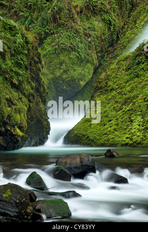 Bridal Veil Creek, Bridal Veil Falls State Park, Columbia River Gorge National Scenic Area, Oregon, USA Stockfoto