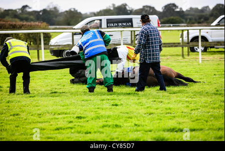 Gefallene Pferd wird tendenziell bei Wincanton Rennen verfolgen Somerset Stockfoto