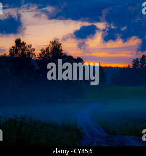 Kiesweg um Mitternacht in Värmland, Schweden. Stockfoto