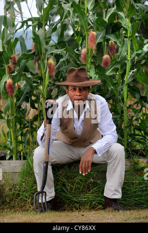 Wilfred Emmanuel-Jones betreibt ein Vieh auf dem Bauernhof in Devon und besitzt der schwarze Bauer Fleischprodukte Aug 2009 Marke Stockfoto