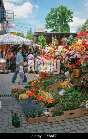 Blume-Stall am lokalen Markt in Wadowice, kleine Stadt in Südpolen. Stockfoto