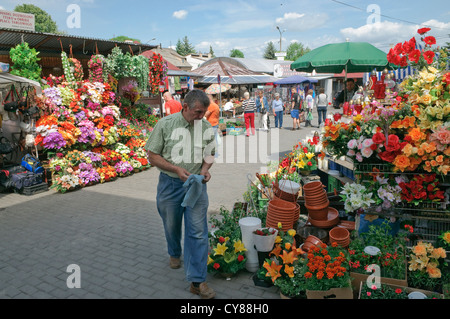 Stall Blumenverkäuferin am lokalen Markt in Wadowice, kleine Stadt in Südpolen. Stockfoto